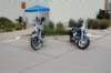 dsc_0728_small.jpg